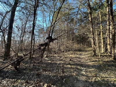Land for Sale in the Missouri Ozarks! - image 31