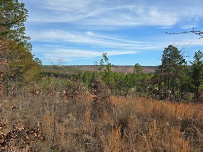 Off-Grid Mountain Homestead in Heavener Oklahoma - image 4