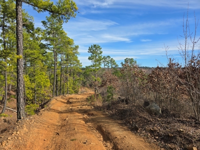 Off-Grid Mountain Homestead in Heavener Oklahoma - image 12