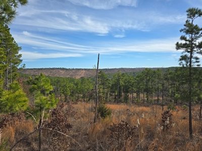 Off-Grid Mountain Homestead in Heavener Oklahoma - image 6