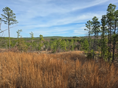 Off-Grid Mountain Homestead in Heavener Oklahoma - image 2