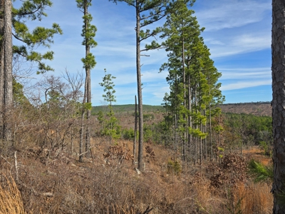 Off-Grid Mountain Homestead in Heavener Oklahoma - image 10