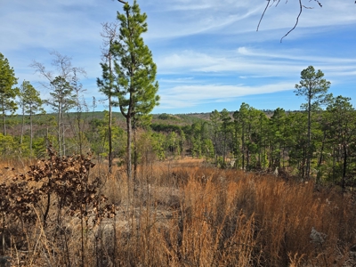 Off-Grid Mountain Homestead in Heavener Oklahoma - image 3