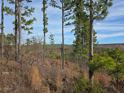 Off-Grid Mountain Homestead in Heavener Oklahoma - image 5