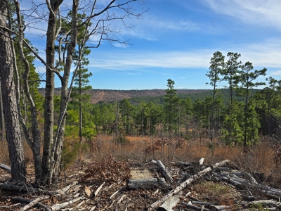 Off-Grid Mountain Homestead in Heavener Oklahoma - image 8