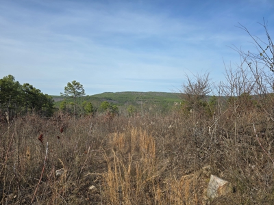Off-Grid Mountain Homestead in Heavener Oklahoma - image 7