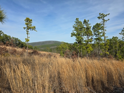Off-Grid Mountain Homestead in Heavener Oklahoma - image 1