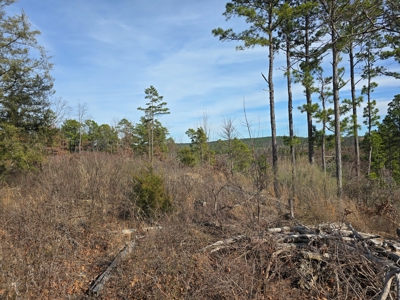 Off-Grid Mountain Homestead in Heavener Oklahoma - image 9
