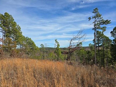 Off-Grid Mountain Homestead in Heavener Oklahoma - image 11