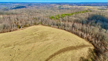 94 AC - Perry County, Indiana – Prime Investment Opportunity - image 5