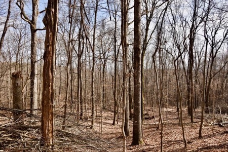 94 AC - Perry County, Indiana – Prime Investment Opportunity - image 23