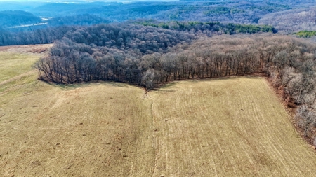 94 AC - Perry County, Indiana – Prime Investment Opportunity - image 10