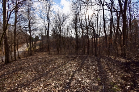 94 AC - Perry County, Indiana – Prime Investment Opportunity - image 27