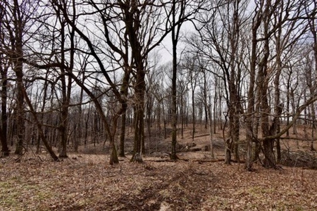 94 AC - Perry County, Indiana – Prime Investment Opportunity - image 14