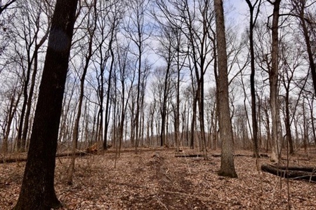 94 AC - Perry County, Indiana – Prime Investment Opportunity - image 15