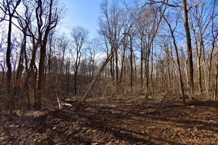 94 AC - Perry County, Indiana – Prime Investment Opportunity - image 28