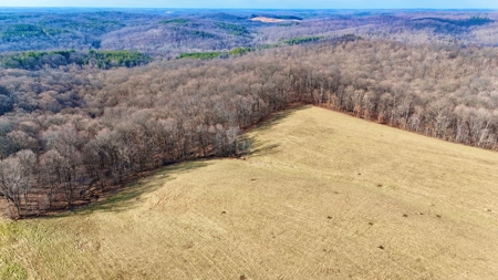 94 AC - Perry County, Indiana – Prime Investment Opportunity - image 4