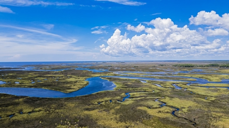 Waterfront Lot For Sale in Suwannee FL! - image 29