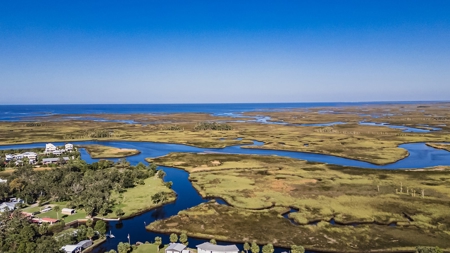 Waterfront Lot For Sale in Suwannee FL! - image 27