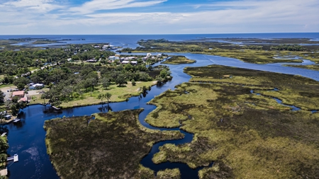 Waterfront Lot For Sale in Suwannee FL! - image 28