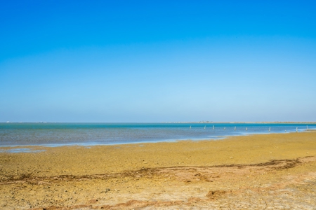 Waterfront Lot In Rockport, Tx - image 7