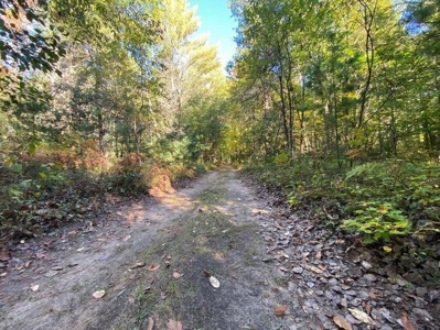7.59 Acres Riverfront Wooded Acreage Atlanta MI - image 13