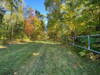 7.59 Acres Riverfront Wooded Acreage Atlanta MI - image 14