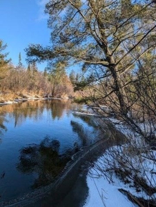 7.59 Acres Riverfront Wooded Acreage Atlanta MI - image 22