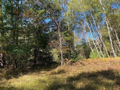 7.59 Acres Riverfront Wooded Acreage Atlanta MI - image 4