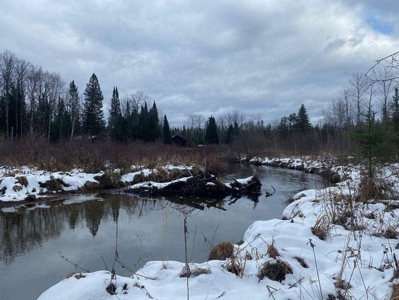 7.59 Acres Riverfront Wooded Acreage Atlanta MI - image 9