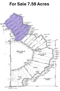 7.59 Acres Riverfront Wooded Acreage Atlanta MI - image 25