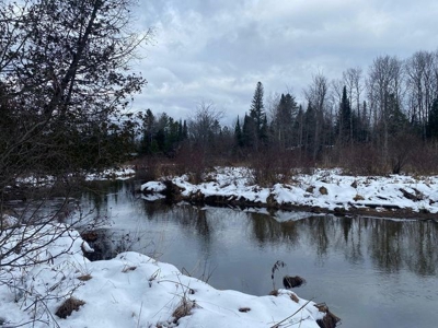 7.59 Acres Riverfront Wooded Acreage Atlanta MI - image 2
