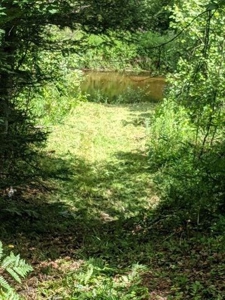 7.59 Acres Riverfront Wooded Acreage Atlanta MI - image 11