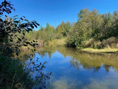 7.59 Acres Riverfront Wooded Acreage Atlanta MI - image 17