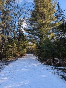 7.59 Acres Riverfront Wooded Acreage Atlanta MI - image 20