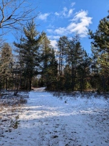 7.59 Acres Riverfront Wooded Acreage Atlanta MI - image 15