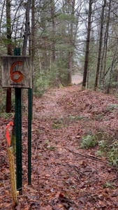 7.59 Acres Riverfront Wooded Acreage Atlanta MI - image 3