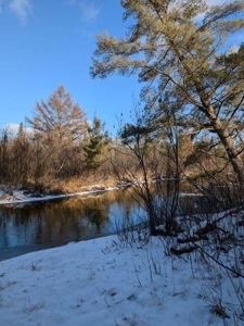 7.59 Acres Riverfront Wooded Acreage Atlanta MI - image 16