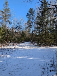 7.59 Acres Riverfront Wooded Acreage Atlanta MI - image 18