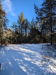 7.59 Acres Riverfront Wooded Acreage Atlanta MI - image 19