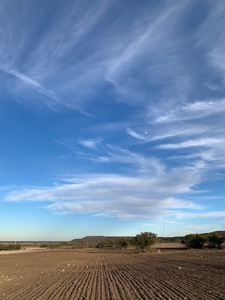 Hilltop Bluff Ranch 915 Acres in McCulloch County - image 34