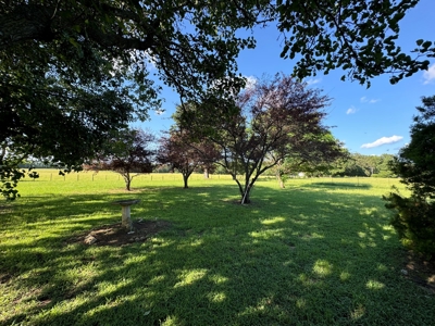 Country Home Located in Rocky Branch Texas - image 6