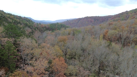 Newton County Jasper Home w/Waterfall on 5 Acres For Sale - image 11