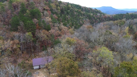 Newton County Jasper Home w/Waterfall on 5 Acres For Sale - image 16