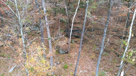 Newton County Jasper Home w/Waterfall on 5 Acres For Sale - image 10