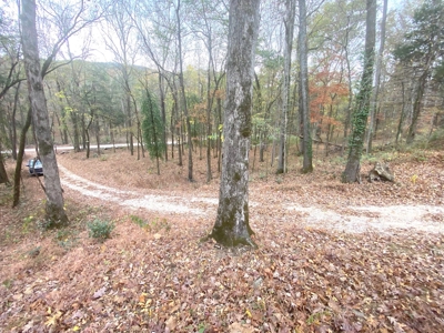 Newton County Jasper Home w/Waterfall on 5 Acres For Sale - image 31