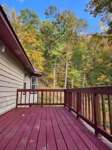 Newton County Jasper Home w/Waterfall on 5 Acres For Sale - image 19
