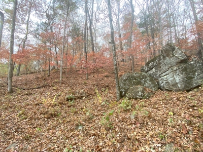 Newton County Jasper Home w/Waterfall on 5 Acres For Sale - image 24