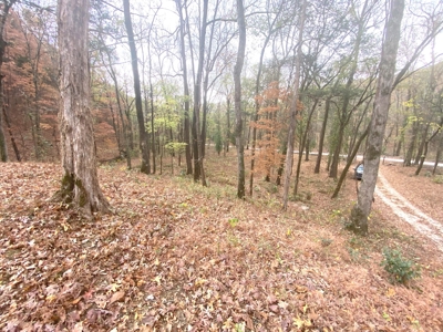 Newton County Jasper Home w/Waterfall on 5 Acres For Sale - image 30