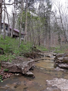 Newton County Jasper Home w/Waterfall on 5 Acres For Sale - image 9